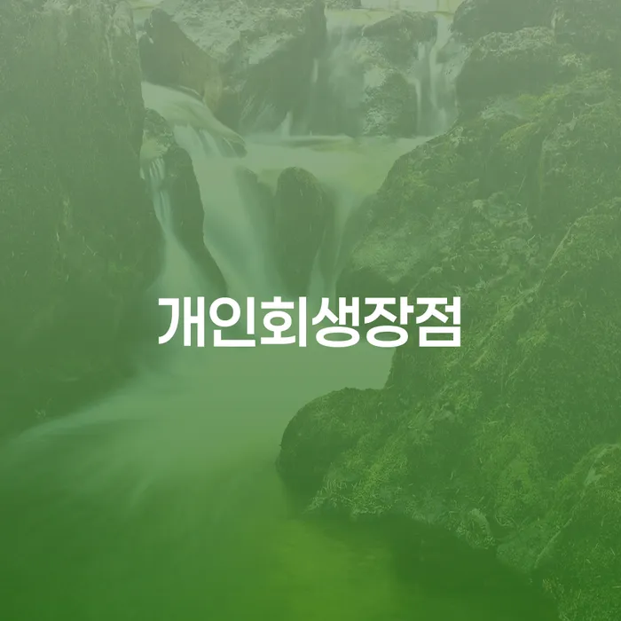 보험설계사대출 연체 시 연체 채무 신속해결방법 추천하는 곳
