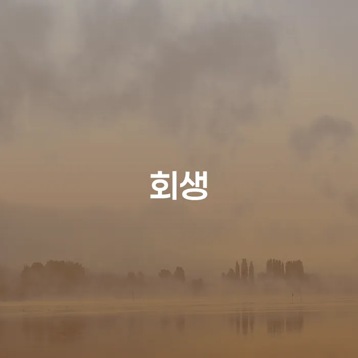 대출연체 되었을 때 개인회생 실제사례