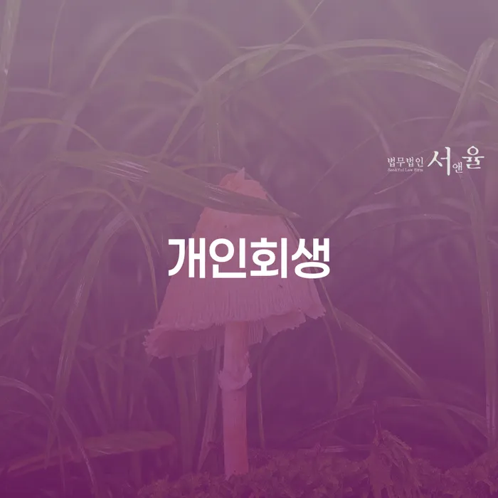 개인파산이란 빚 해결할 총정리