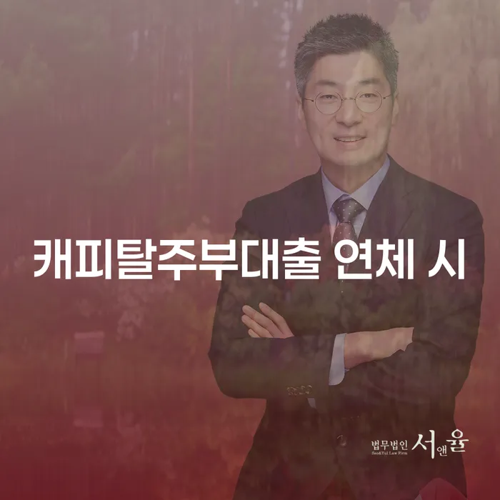 과다채무 대출 받은 돈채무조정 얼마?