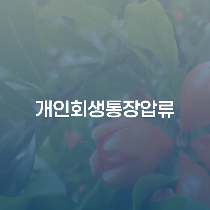 개인회생금지명령 개인회생 처리방법 알고신청하기