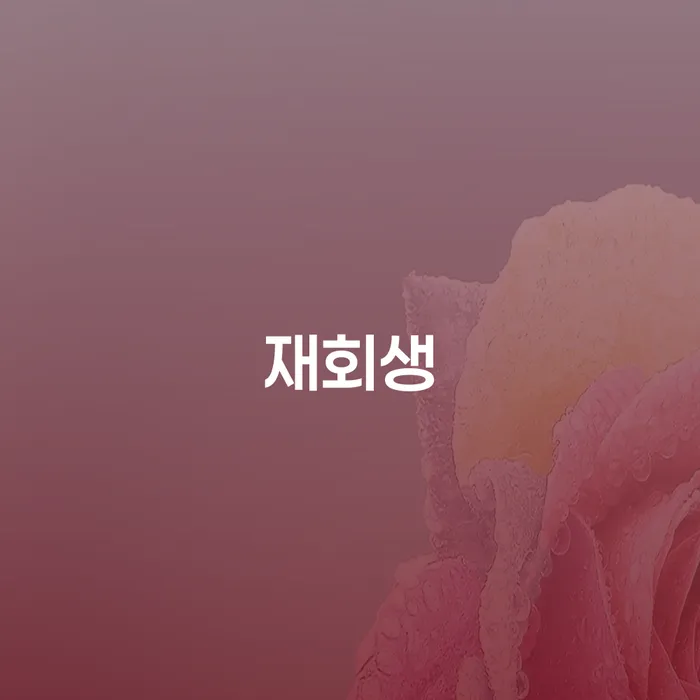 광명시 상속재산파산신청 빚독촉 해결 방법 알려드려요.