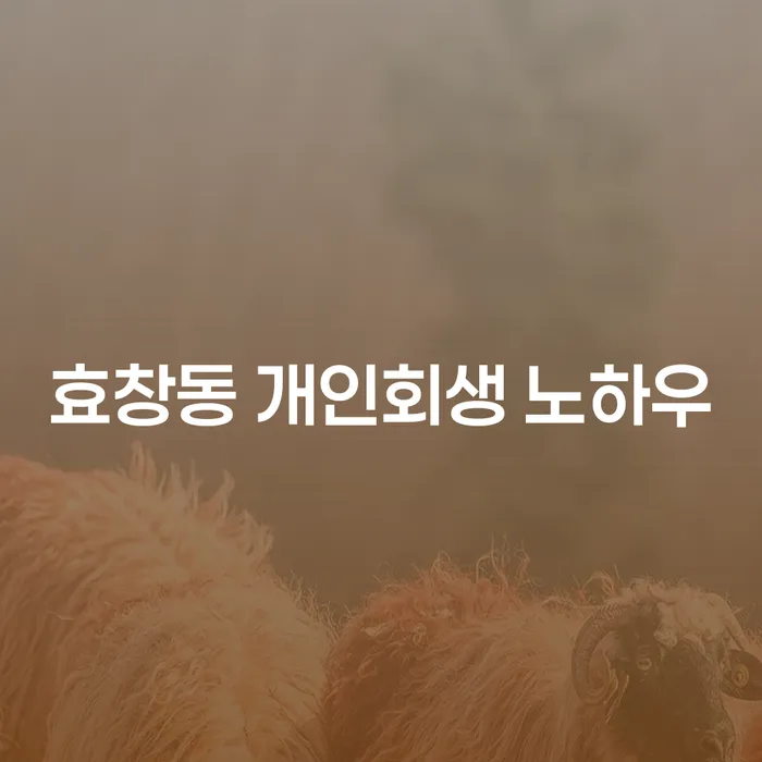 효창동 개인회생 노하우