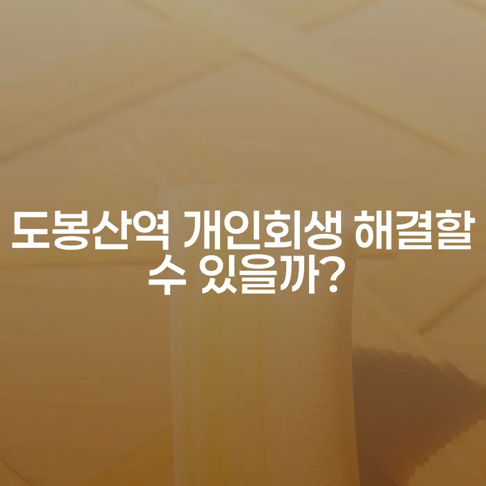 도봉산역 개인회생 해결할 수 있을까?