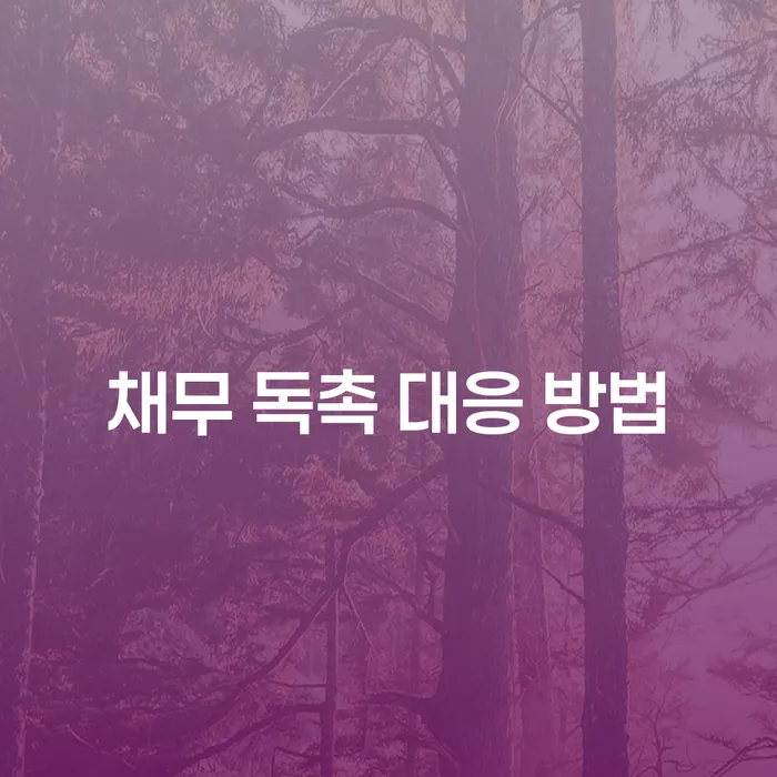 채무 독촉 대응 방법, 어떻게 해야 할까요?