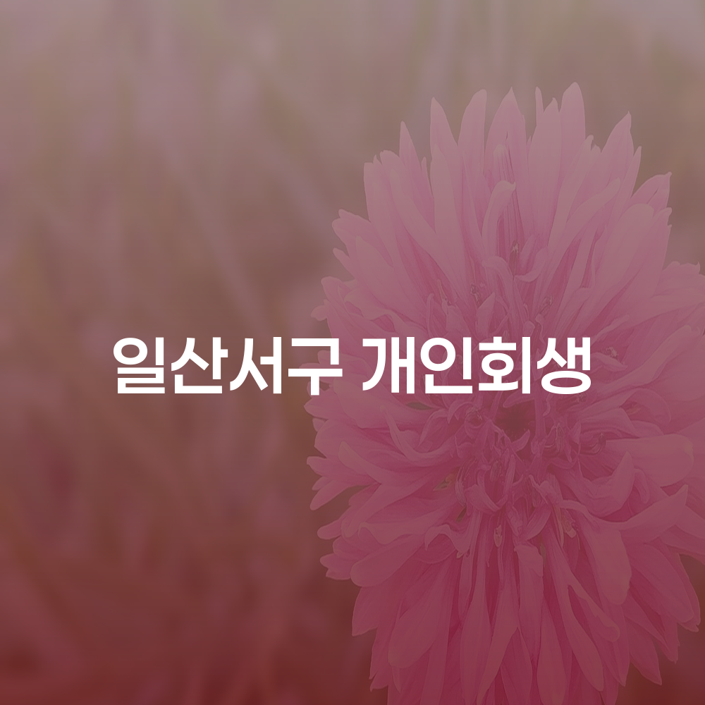 일산서구 개인회생으로 경제적 재출발하기