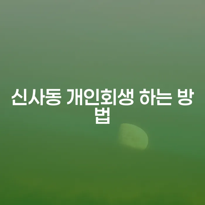 신사동 개인회생 어떻게 시작해야 할까요?