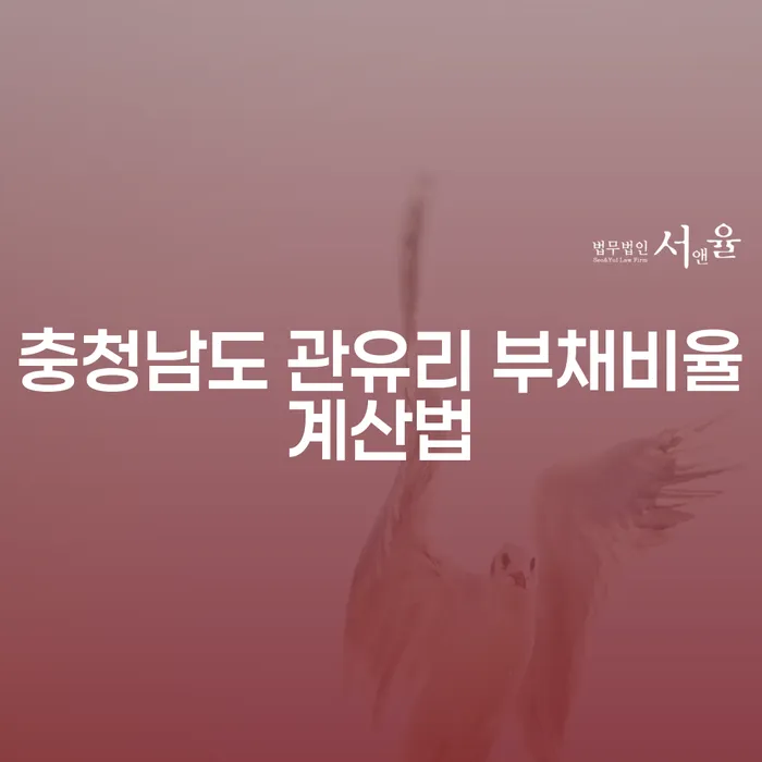 충청남도 관유리 부채비율계산법과 개인채권추심: 채무 해결을 위한 방법은?
