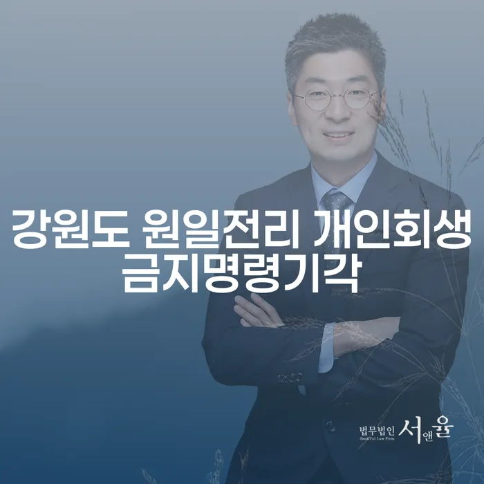 강원도 원일전리 개인회생금지명령기각, 어떻게 대응해야 할까요?