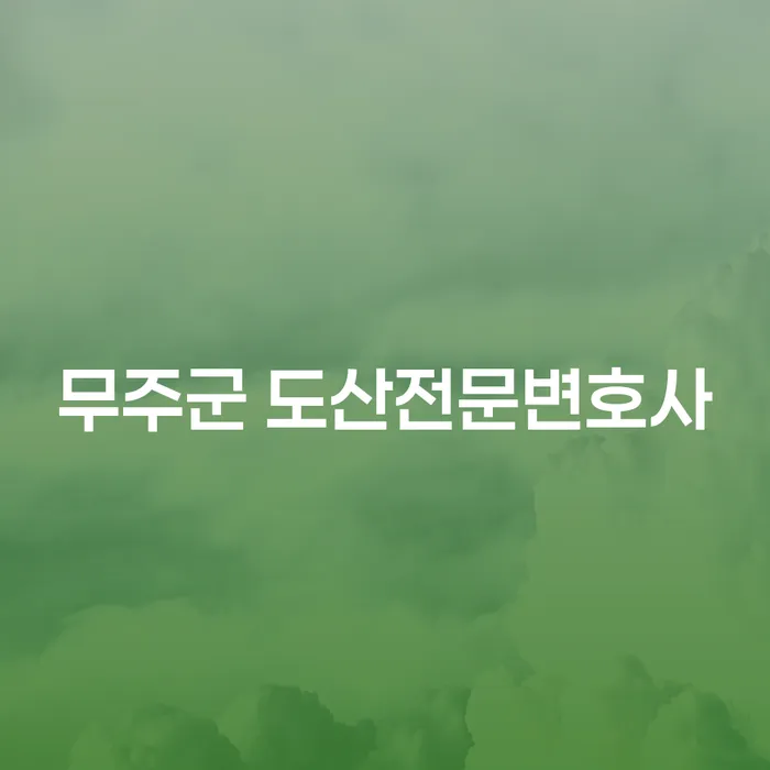 무주군 도산전문변호사에게 상담해야 하는 이유는 무엇일까요?